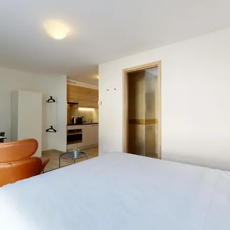 Furnished Studio #206 - Swiss * Эгль
