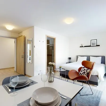Furnished Studio #206 - Swiss * Aigle